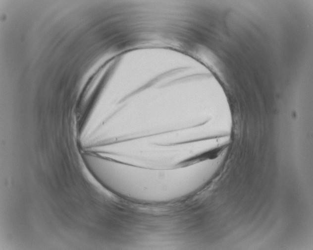 X0000064761476200603131356