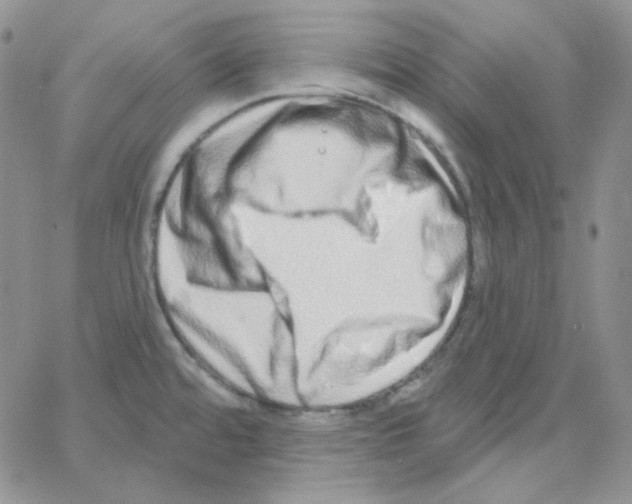 X0000064761480200603131356
