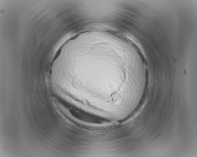 X0000064761481200603131356
