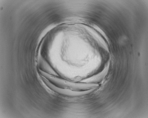 X0000064761485200603131356