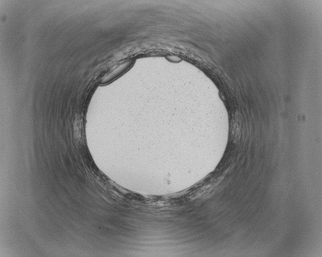 X0000064761490200603131355