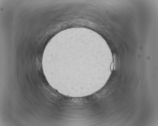 X0000064761491200603131355