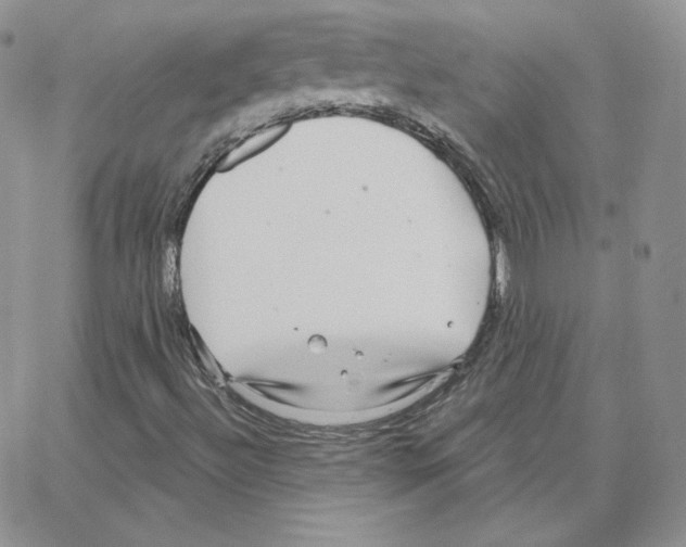 X0000064761492200603131355