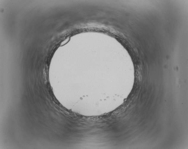 X0000064761493200603131355