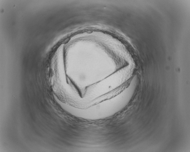 X0000064761496200603131355