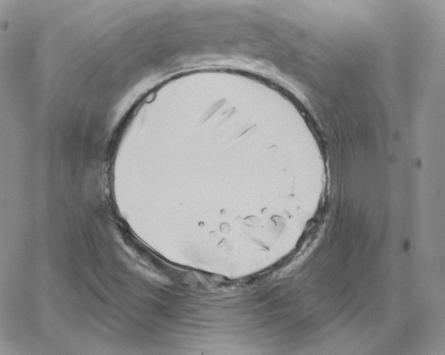 X0000064761501200603131355