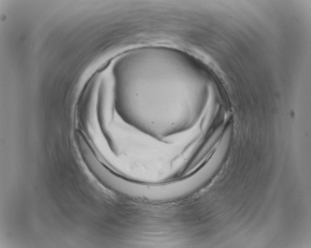 X0000064761520200603131356
