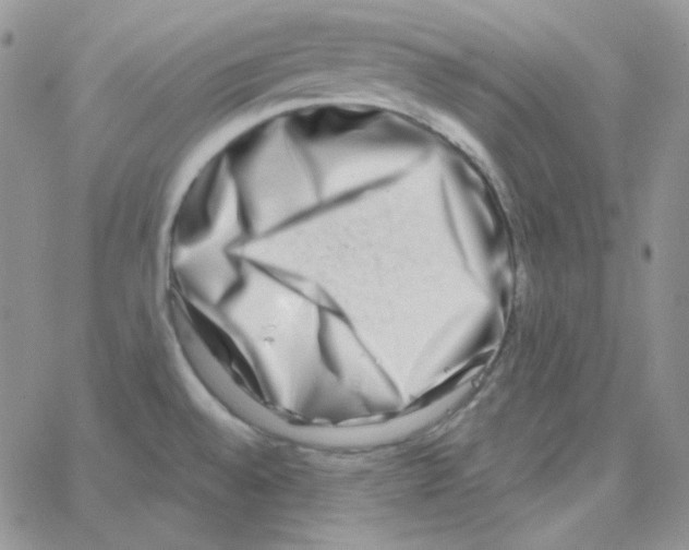 X0000064761528200603131356