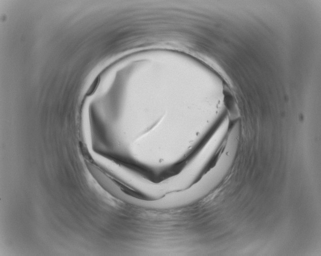 X0000064761532200603131356