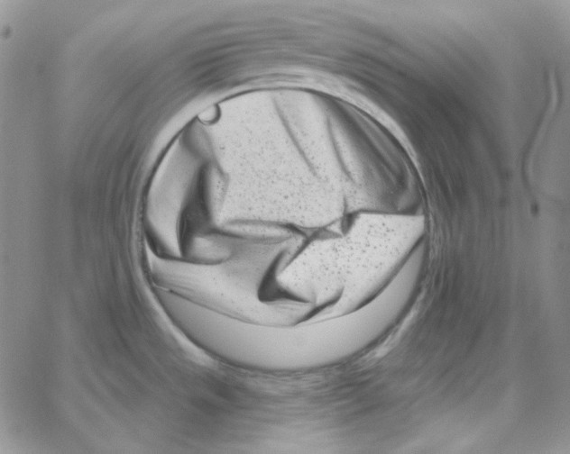 X0000064761533200603131356