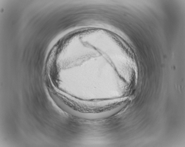 X0000064761536200603131356