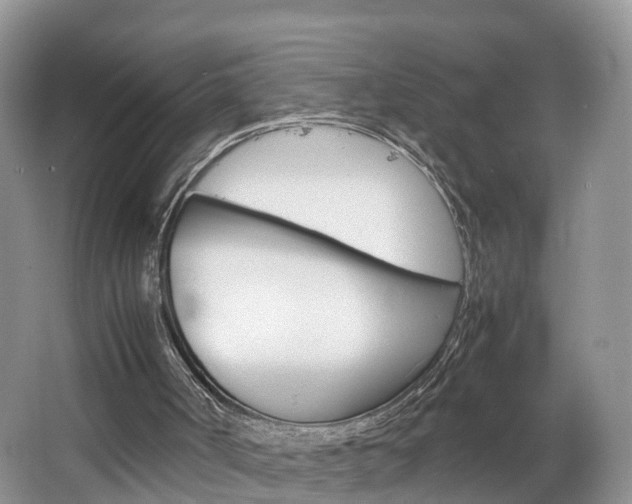 X0000064770002200602101106