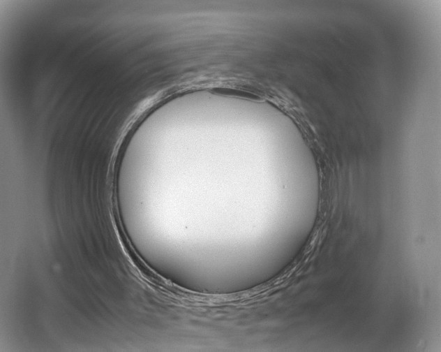X0000064770003200602101106