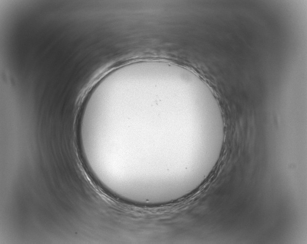 X0000064770005200602101105