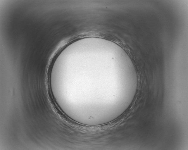 X0000064770006200602101105