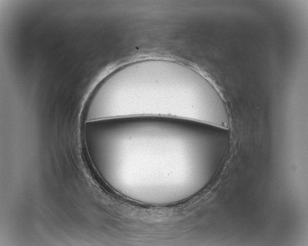 X0000064770008200602101105