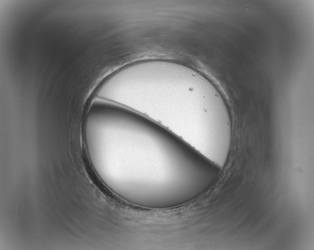 X0000064770011200602101105