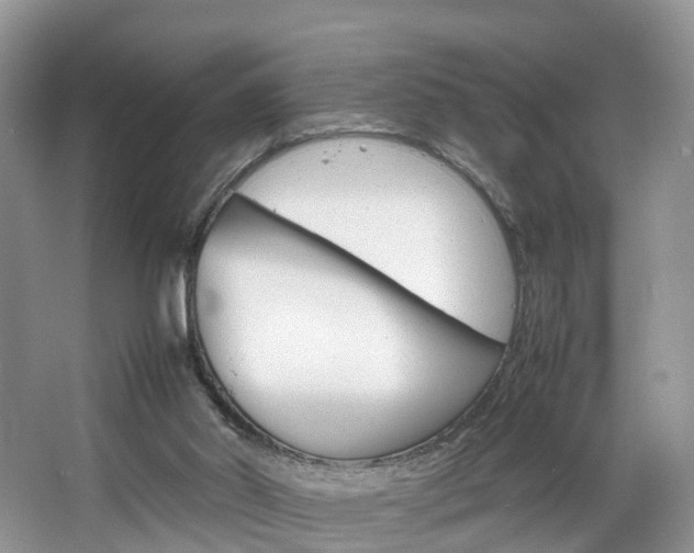 X0000064770014200602101105