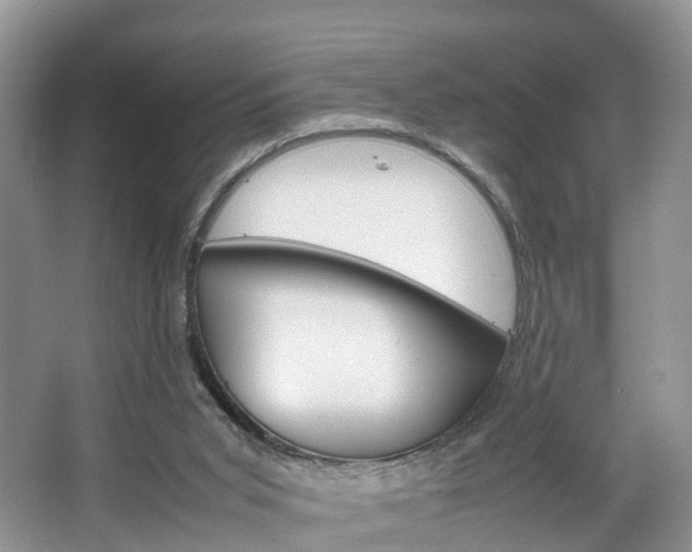X0000064770015200602101105