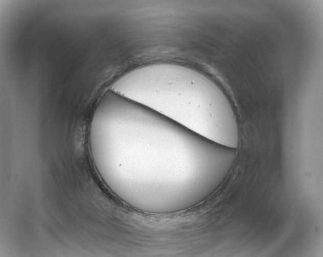 X0000064770018200602101105