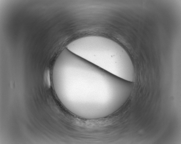 X0000064770022200602101105