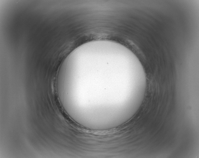 X0000064770026200602101105