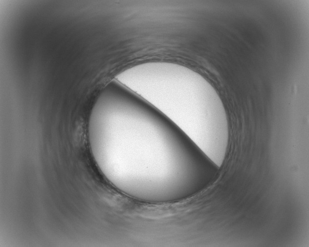 X0000064770029200602101105