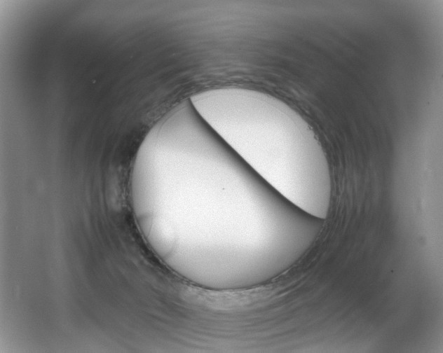 X0000064770030200602101105