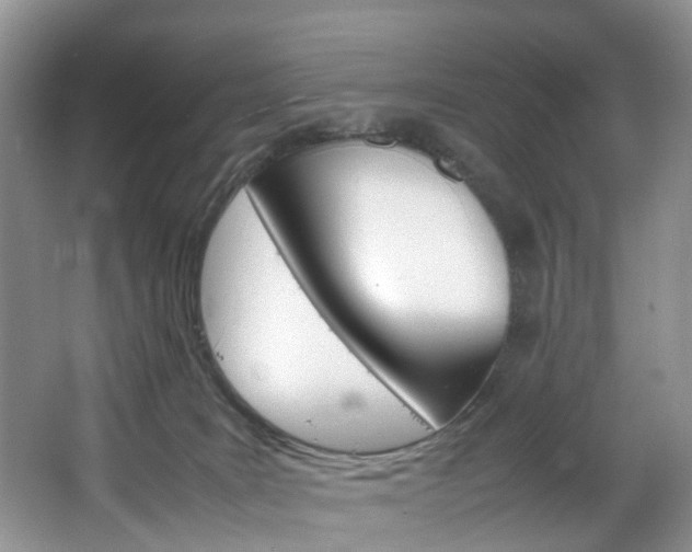 X0000064770035200602101105
