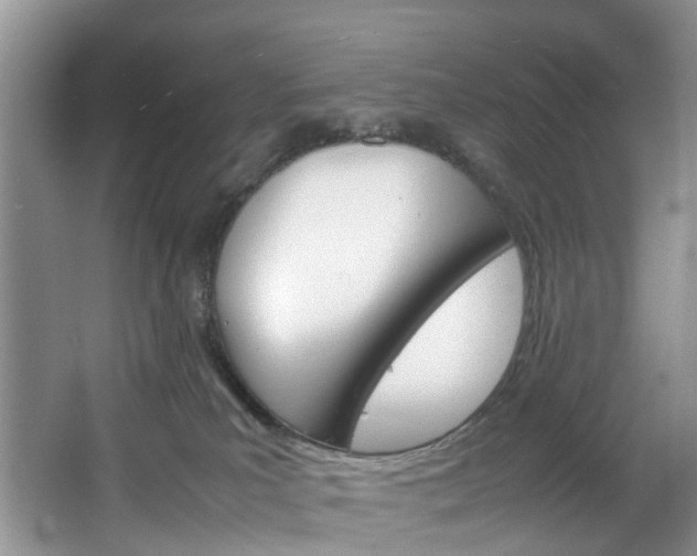 X0000064770039200602101105