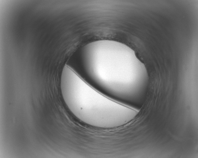 X0000064770040200602101105