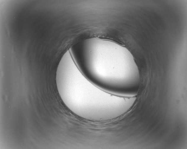 X0000064770041200602101105