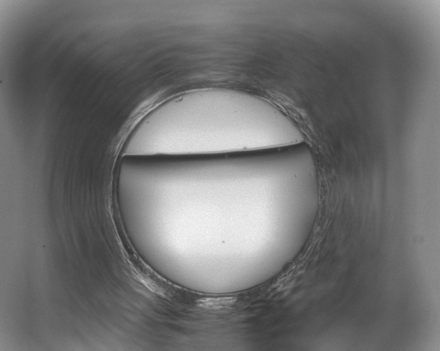 X0000064770051200602101104