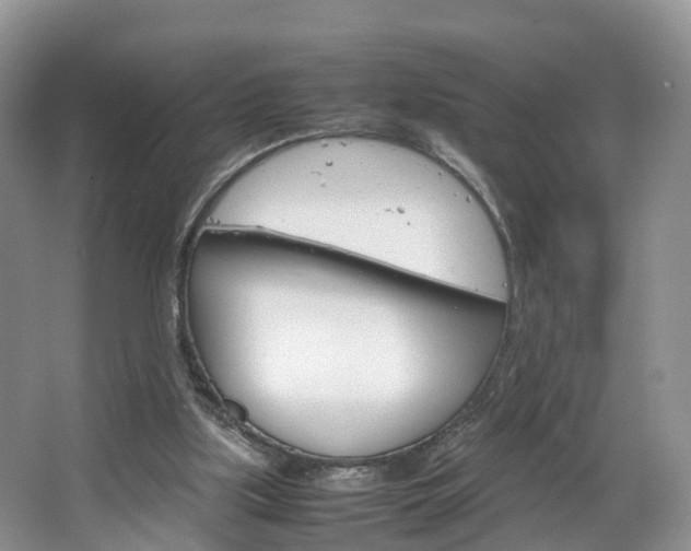 X0000064770059200602101104
