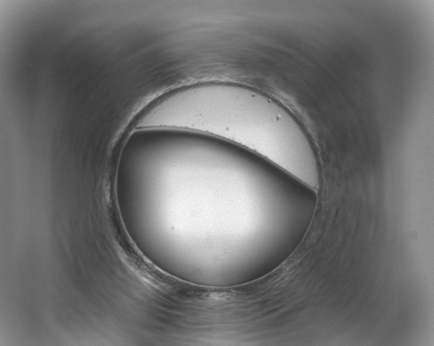 X0000064770060200602101104