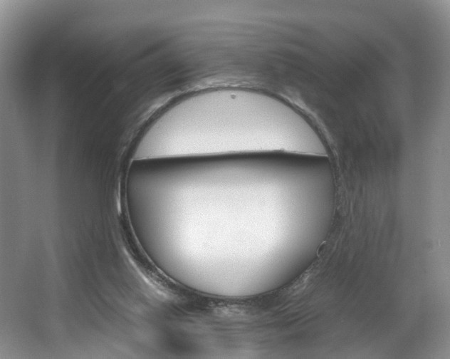 X0000064770062200602101104