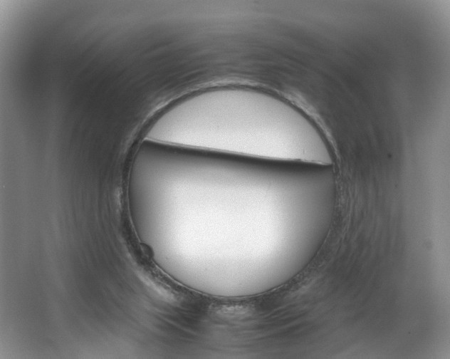 X0000064770063200602101104