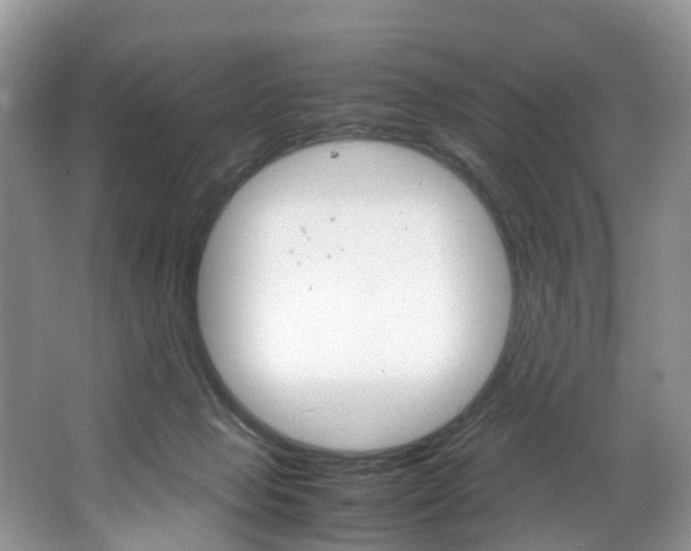 X0000064770077200602101104