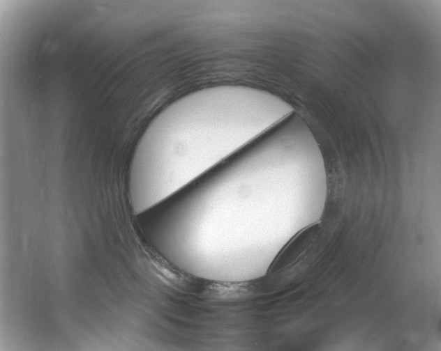X0000064770093200602101105