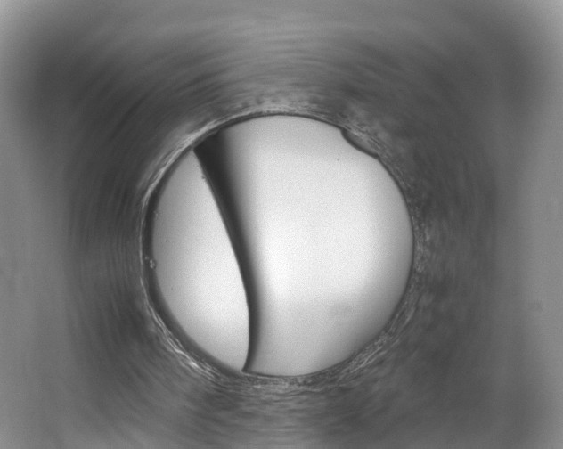X0000064770098200602101104