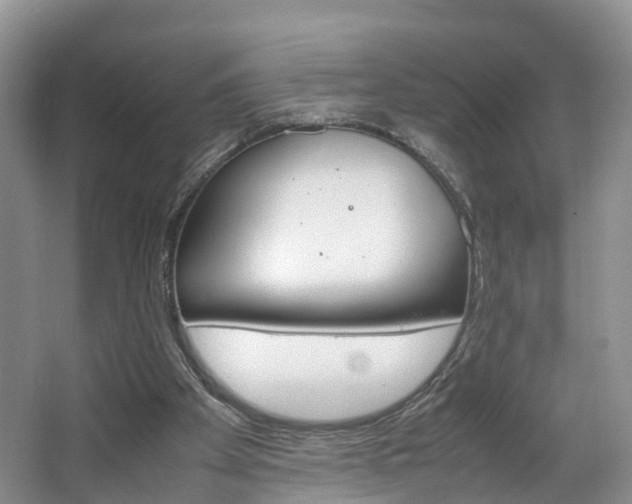 X0000064770105200602101104