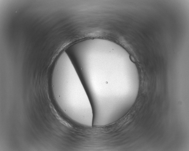 X0000064770106200602101104