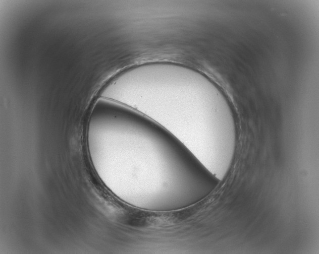 X0000064770107200602101104