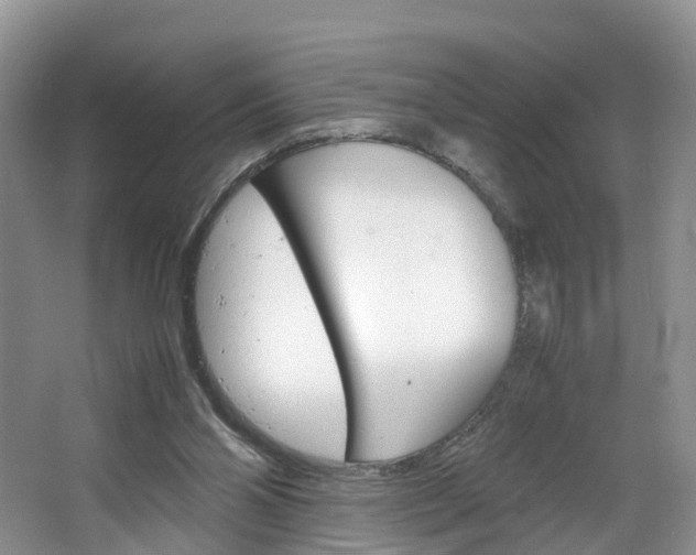 X0000064770110200602101104