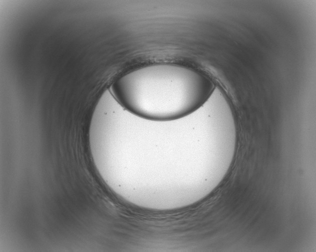 X0000064770113200602101104