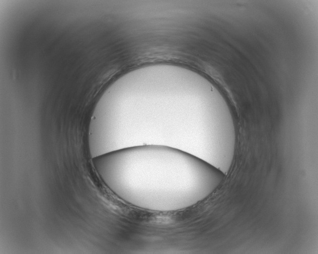 X0000064770114200602101104