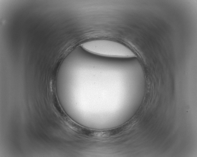 X0000064770117200602101104