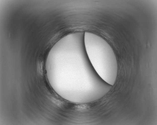 X0000064770118200602101104