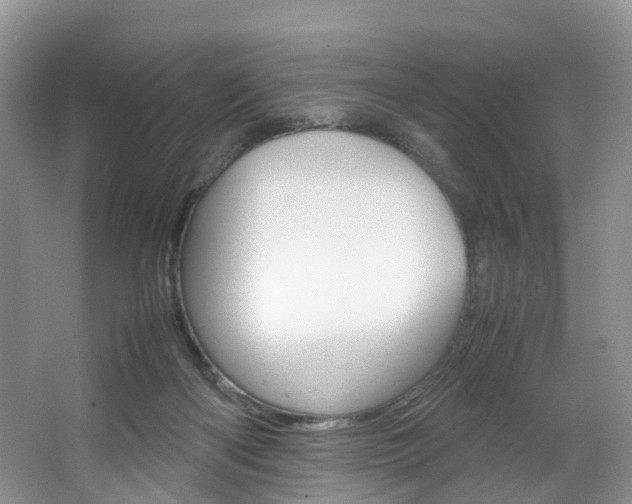 X0000064770122200602101104