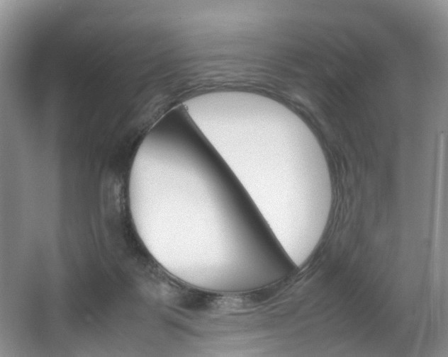 X0000064770123200602101103